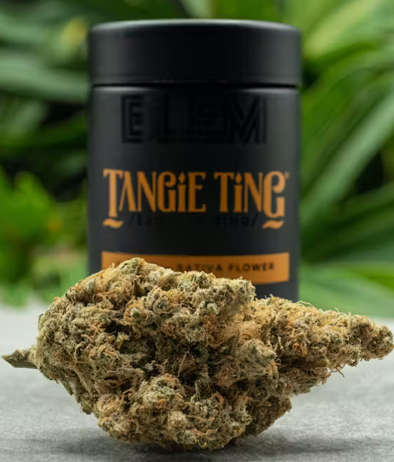 BLEM: Tangie