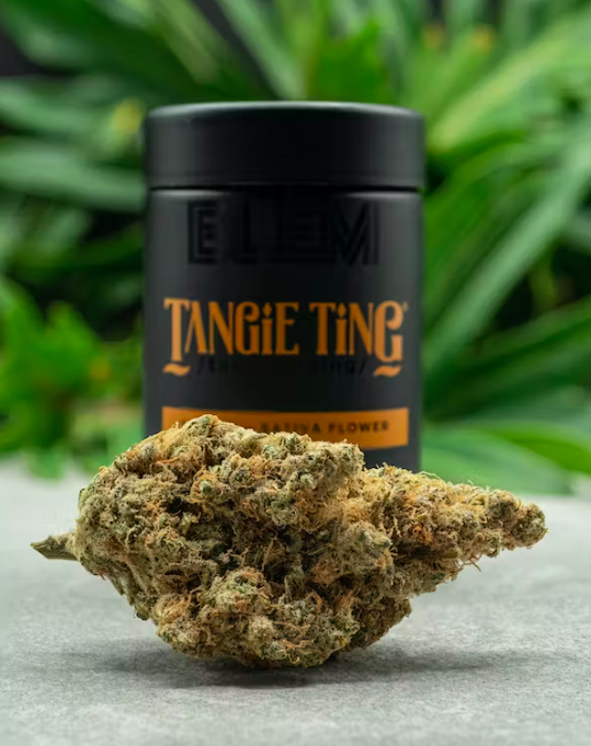 BLEM: Tangie