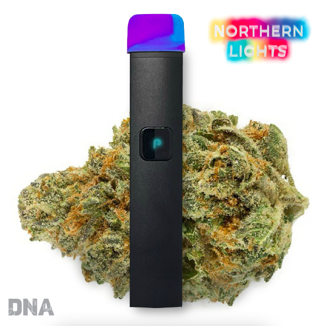 PlugPlay: Northern Lights