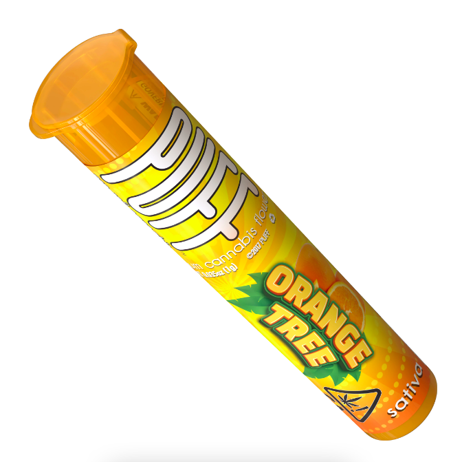 PUFF: Orange Tree